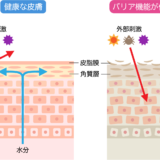 皮脂膜失調と戦う：効果的なスキンケア製品の選び方