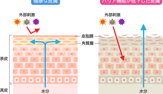 皮脂膜失調と戦う：効果的なスキンケア製品の選び方